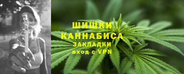 прущие грибы Абдулино