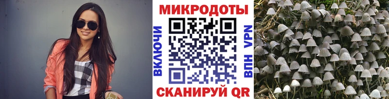 OMG маркетплейс  Талдом  Псилоцибиновые грибы ЛСД 